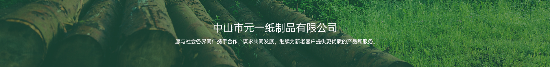 中山手机在线免费看片一紙製品